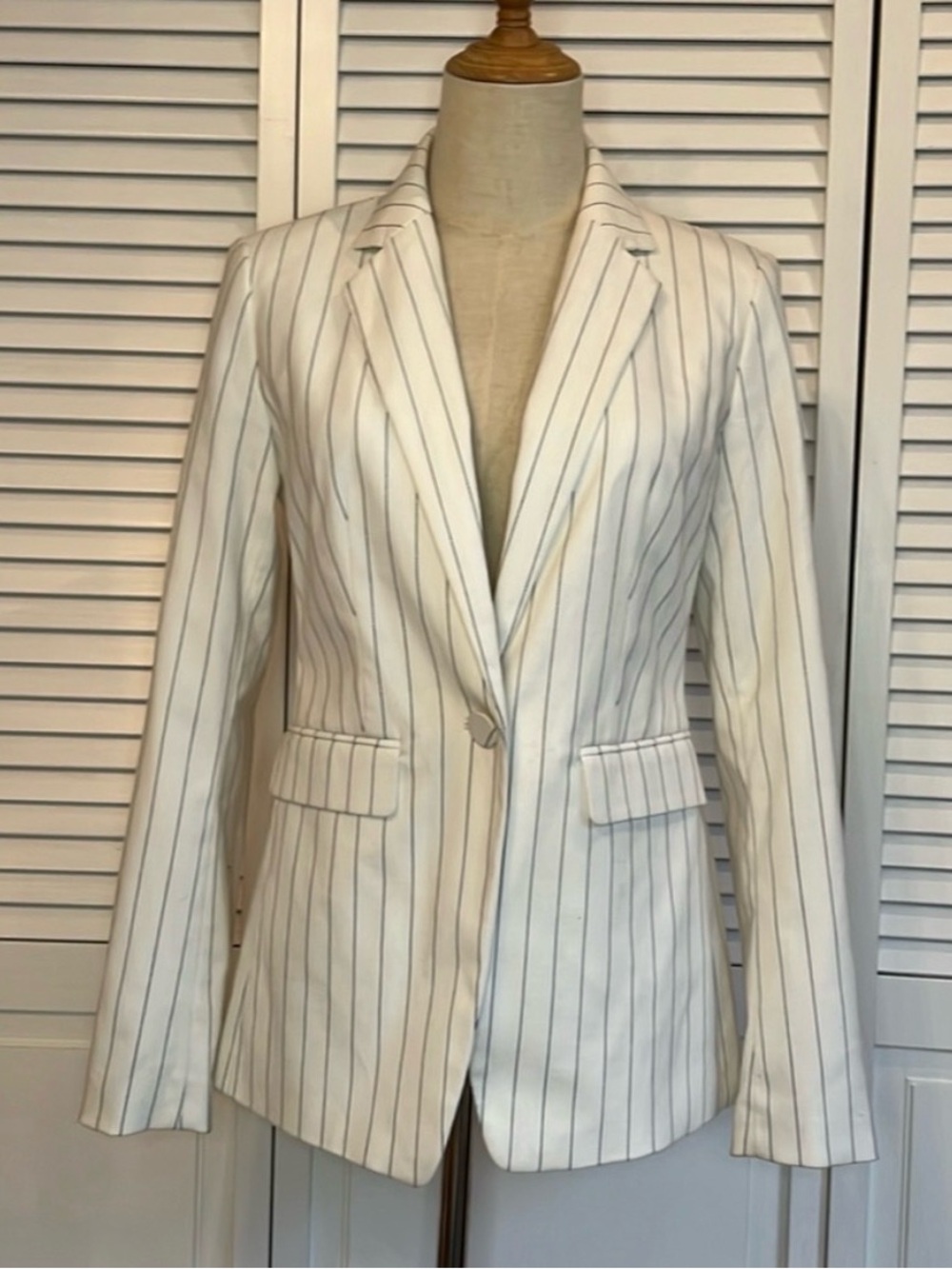 Ann Taylor Striped Blazer